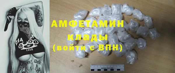 ECSTASY Алзамай