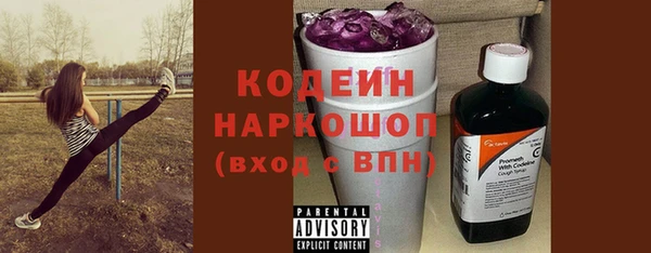ECSTASY Алзамай