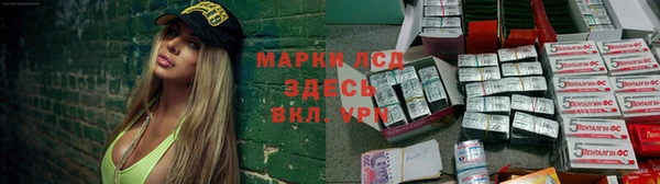 ECSTASY Алзамай