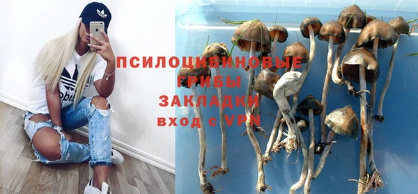 ECSTASY Алзамай