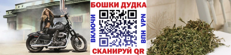 Каннабис ГИДРОПОН  даркнет сайт  Билибино 